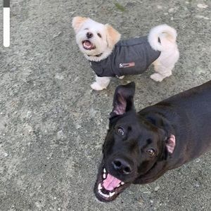 Meet your Posher, Nancy